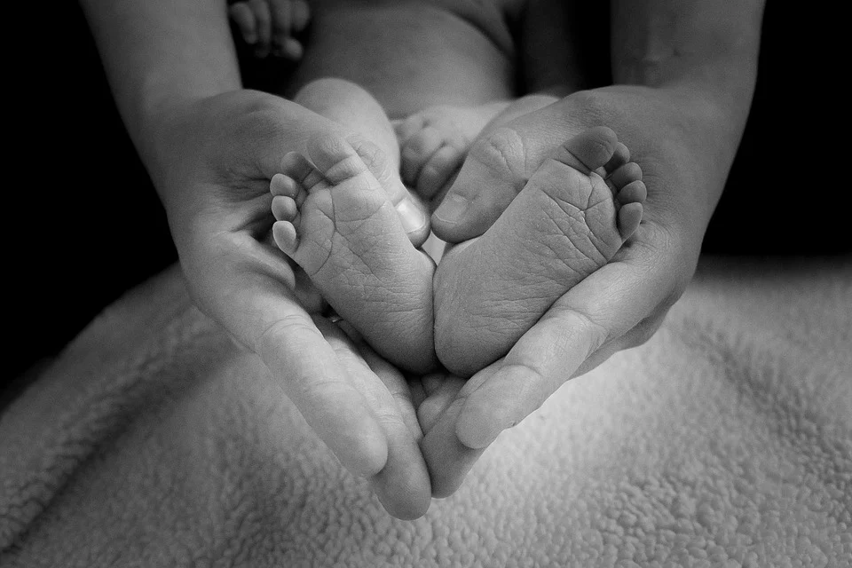 https://pixabay.com/photos/baby-feet-heart-love-mother-1527456/