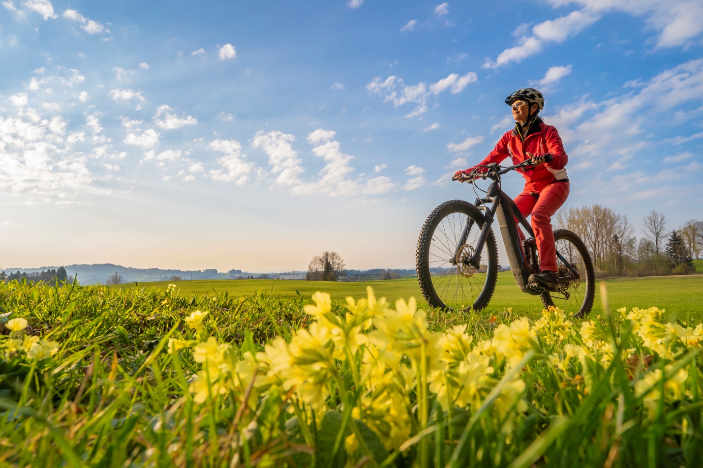 A person riding a bike in a field of flowers

Description automatically generated with medium confidence