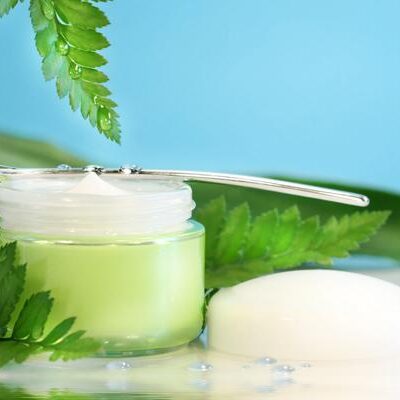 Things to Know Before Using Organic Skin Care Beauty Products