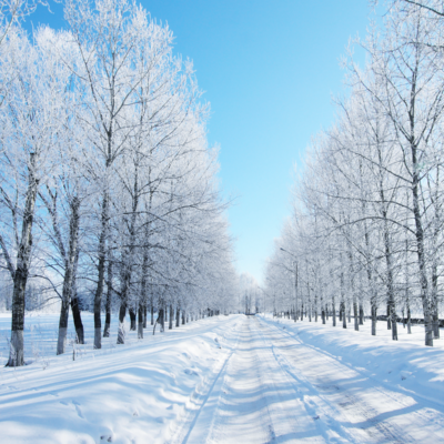 Our best tips for the winter season