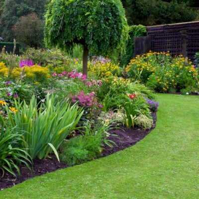 4 Tips for Keeping a Thriving Garden in Poor Drainage Areas